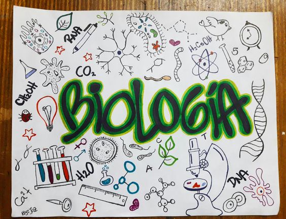 BIOLOGIA 4TO B